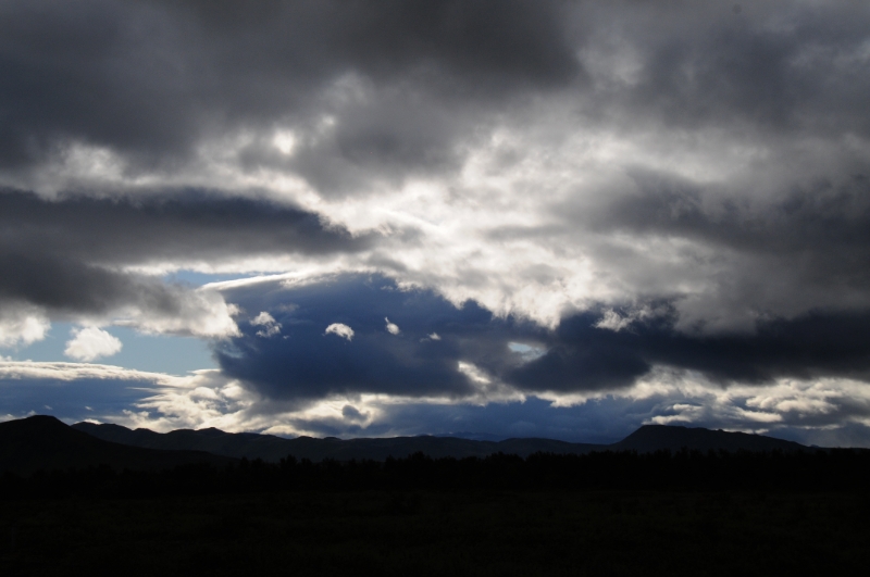 DSC_6982.JPG