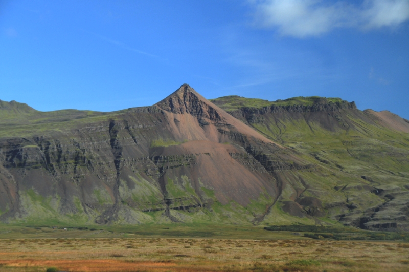 DSC_7246.JPG