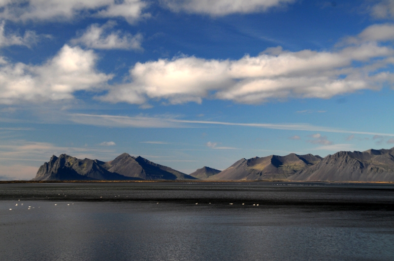 DSC_7286.JPG