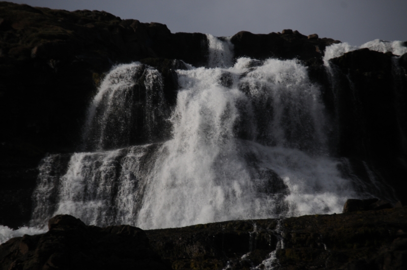 DSC_7310.JPG