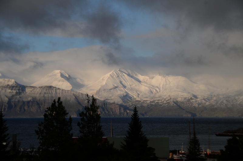 DSC_7339.JPG