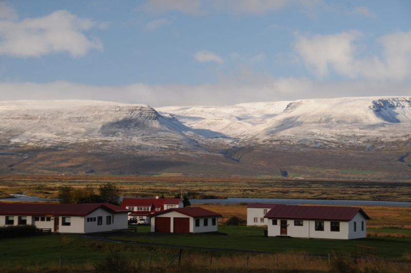 DSC_7344.JPG