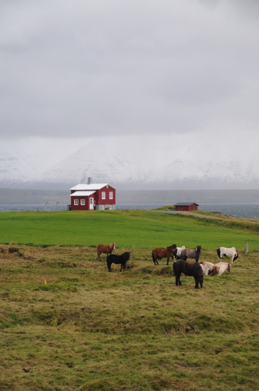 DSC_7386.JPG