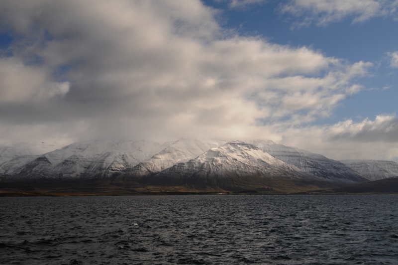 DSC_7472.JPG