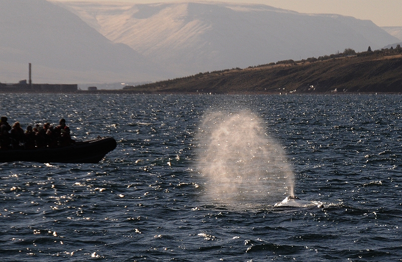DSC_7483.JPG