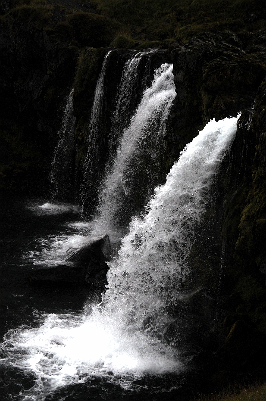 DSC_7524.JPG