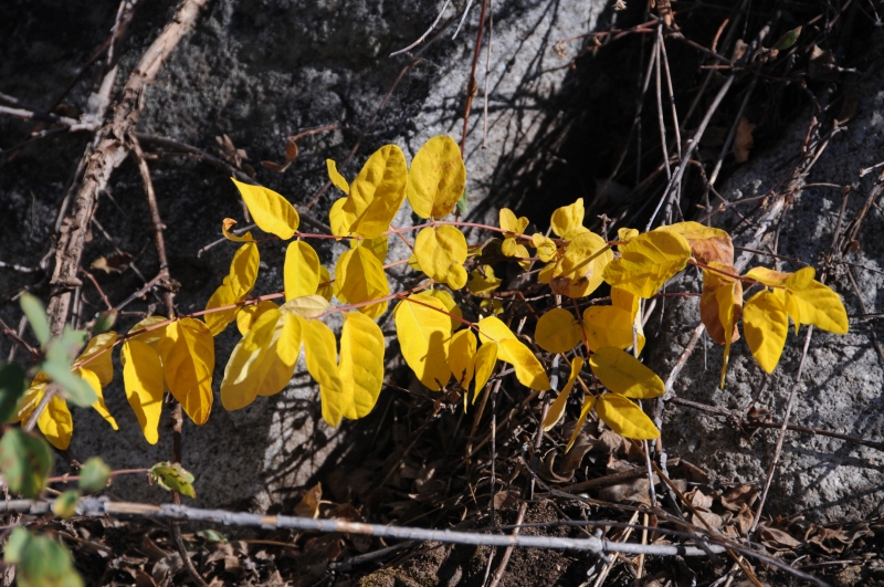 DSC_1257.JPG