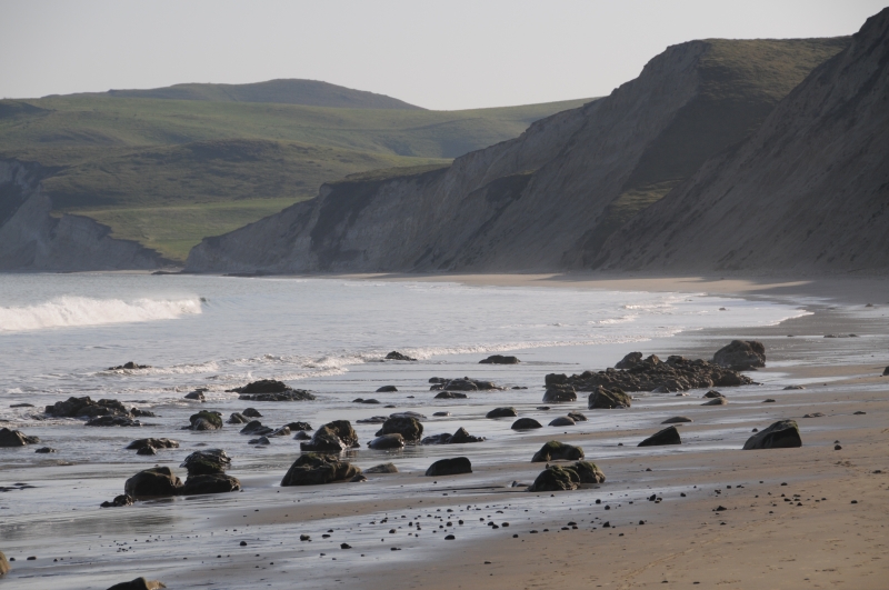 DSC_1797.JPG