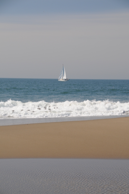 DSC_1814.JPG