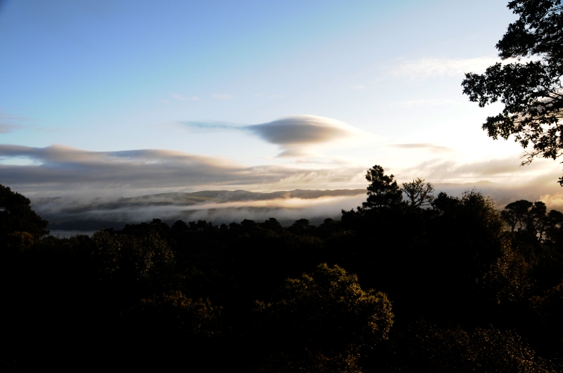 DSC_1881.JPG
