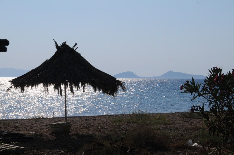 DSC_1207.JPG