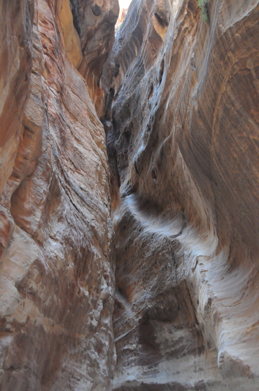 DSC_3195.JPG