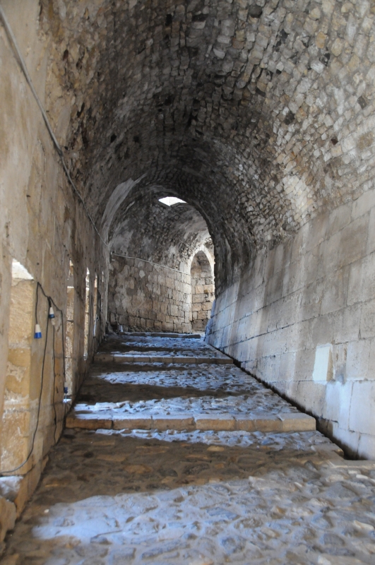 DSC_3582.JPG