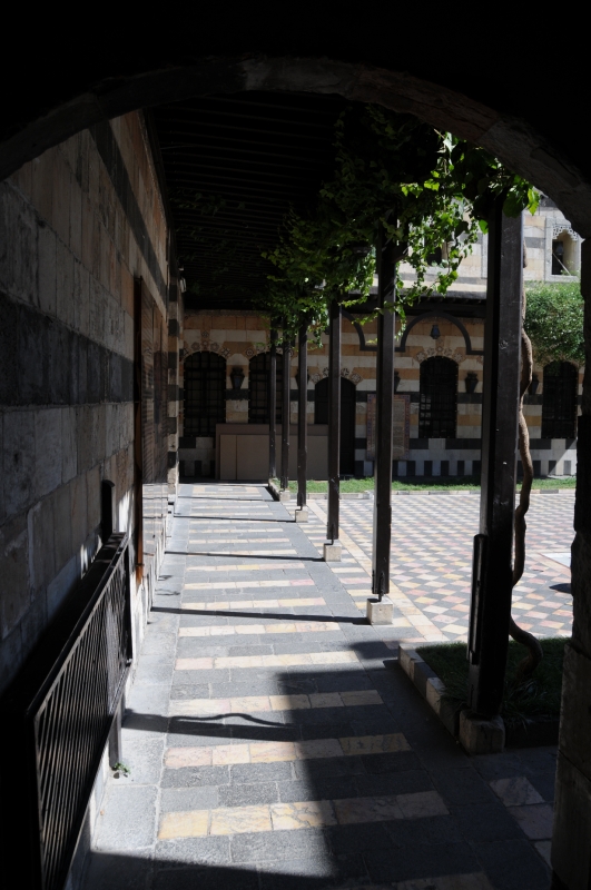 DSC_3703.JPG